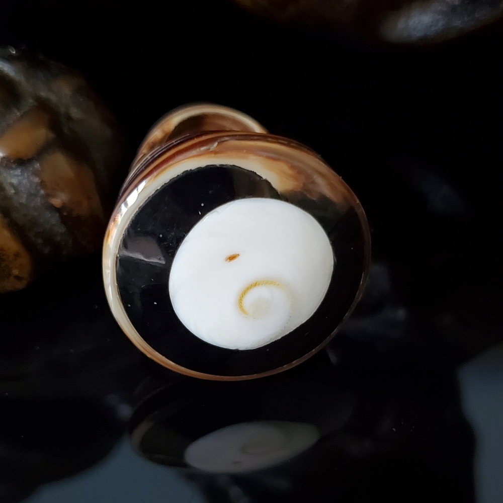 Carved Seashell Spiral Ring Statement Mermaid Cor… - image 3